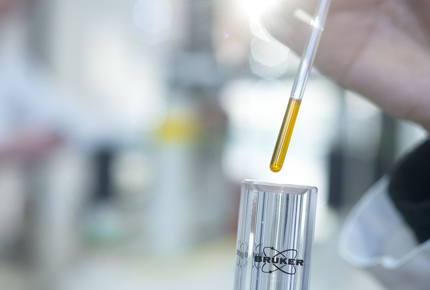 Targeted Metabolomics Ablauf