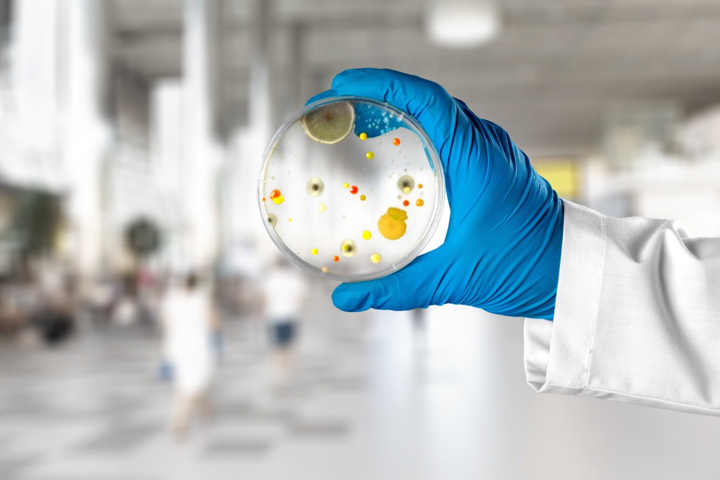 Bewertung und Zulassung von Bioziden Fraunhofer ITEM