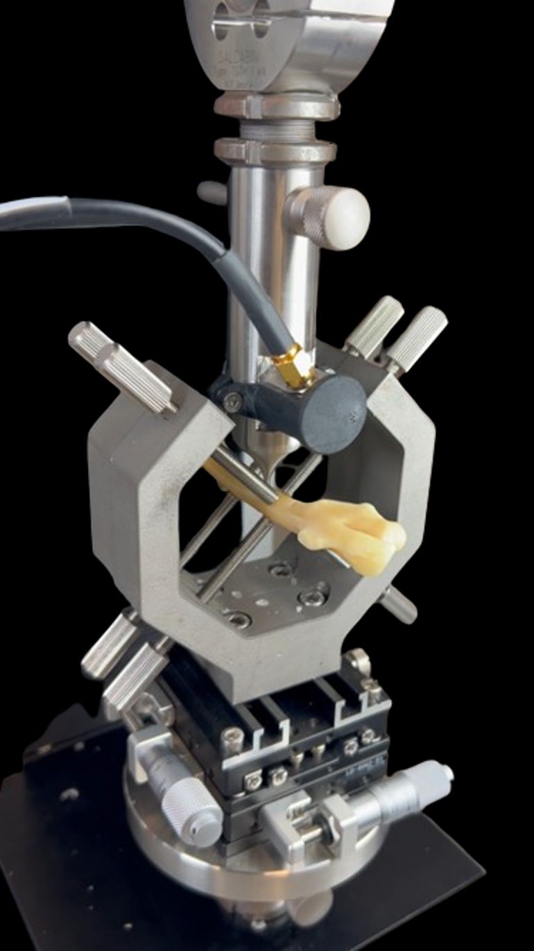 Push-Out-Prüfstand zur Messung der Stabilität von Knochenimplantaten.