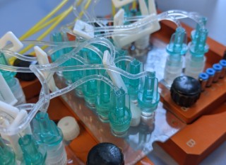 Automatisierter Immunchip. 