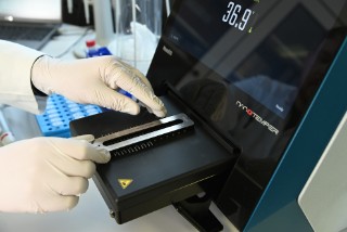 Thermophorese-Gerät zur Messung molekularer Interaktionen.