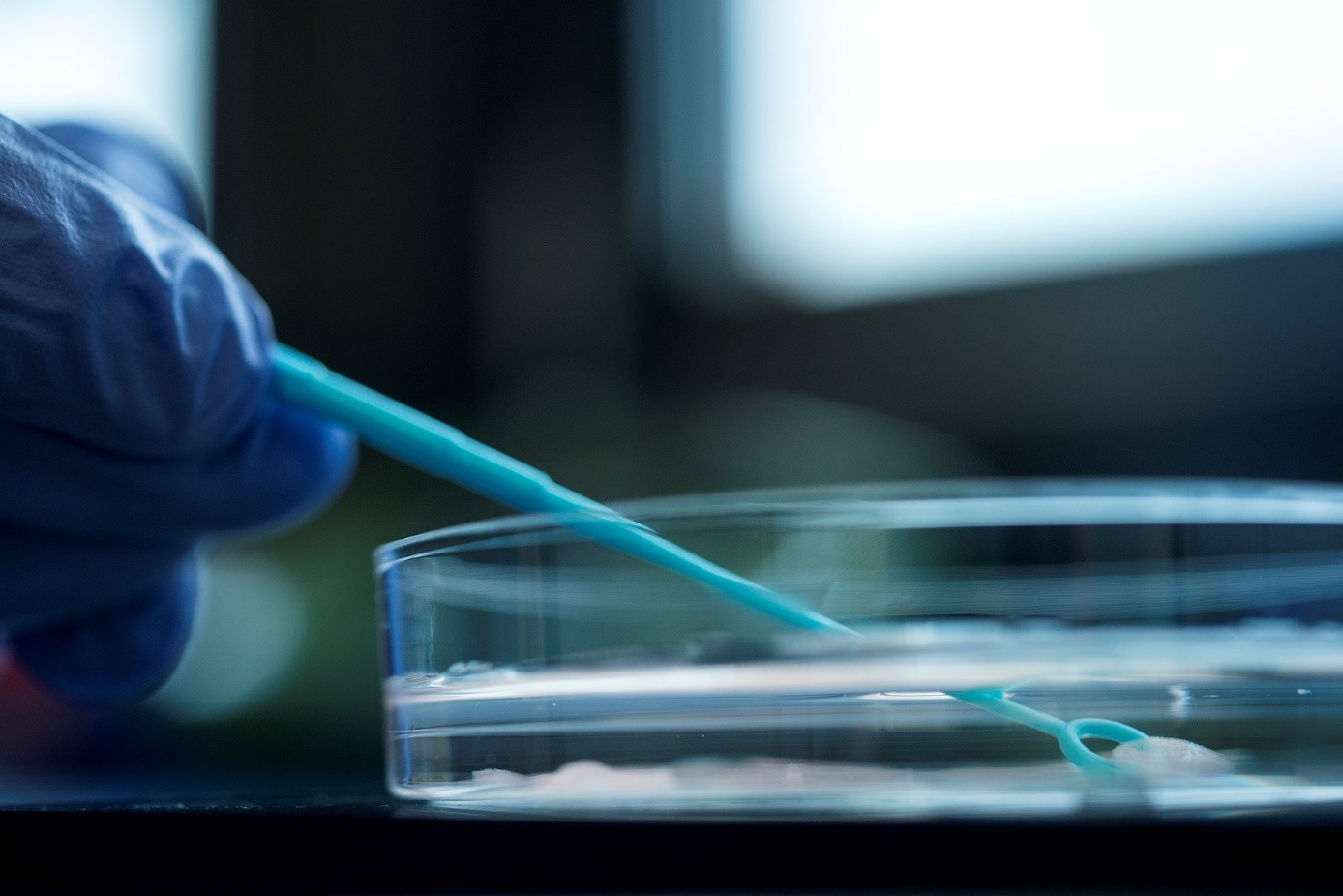 Herzinsuffizienz verstehen und innovative Therapien entwickeln