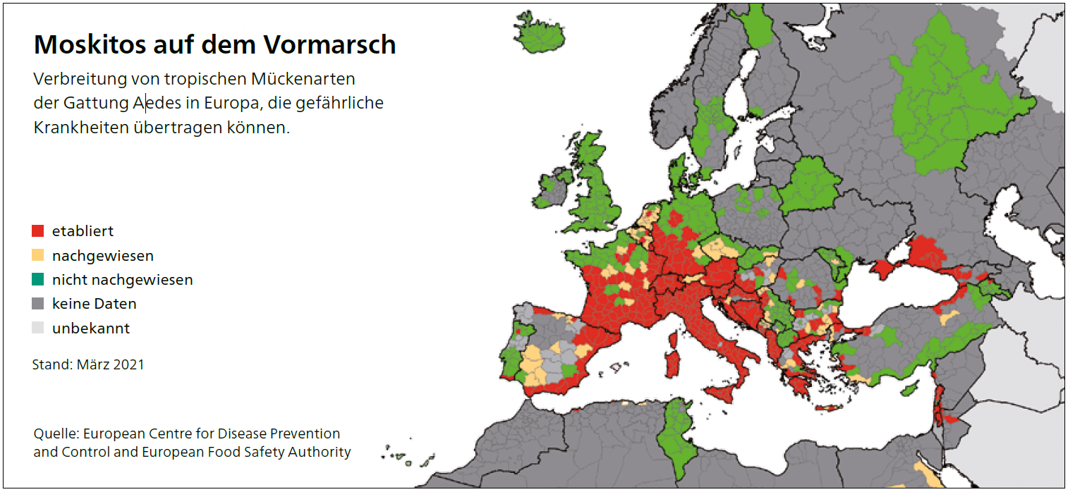 Ausbreitung von tropischen Mückenarten in Europa
