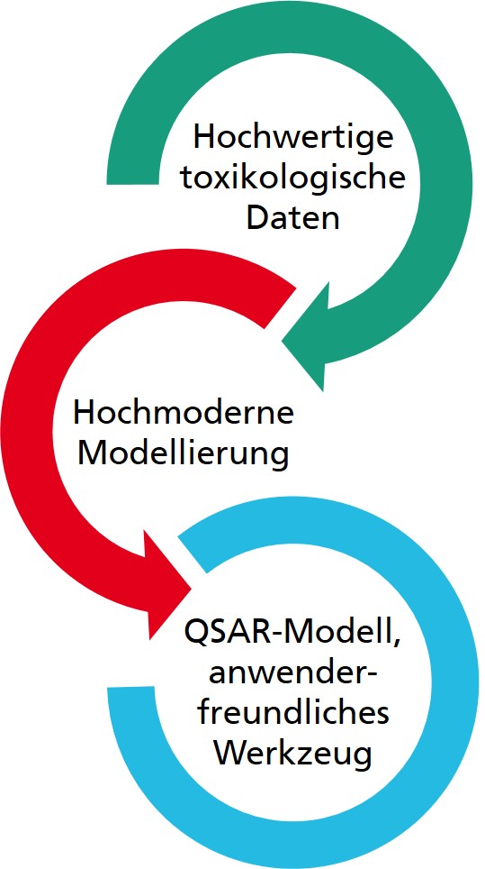 Visualisiertes Outline für das Projekt »RespiraTox«.