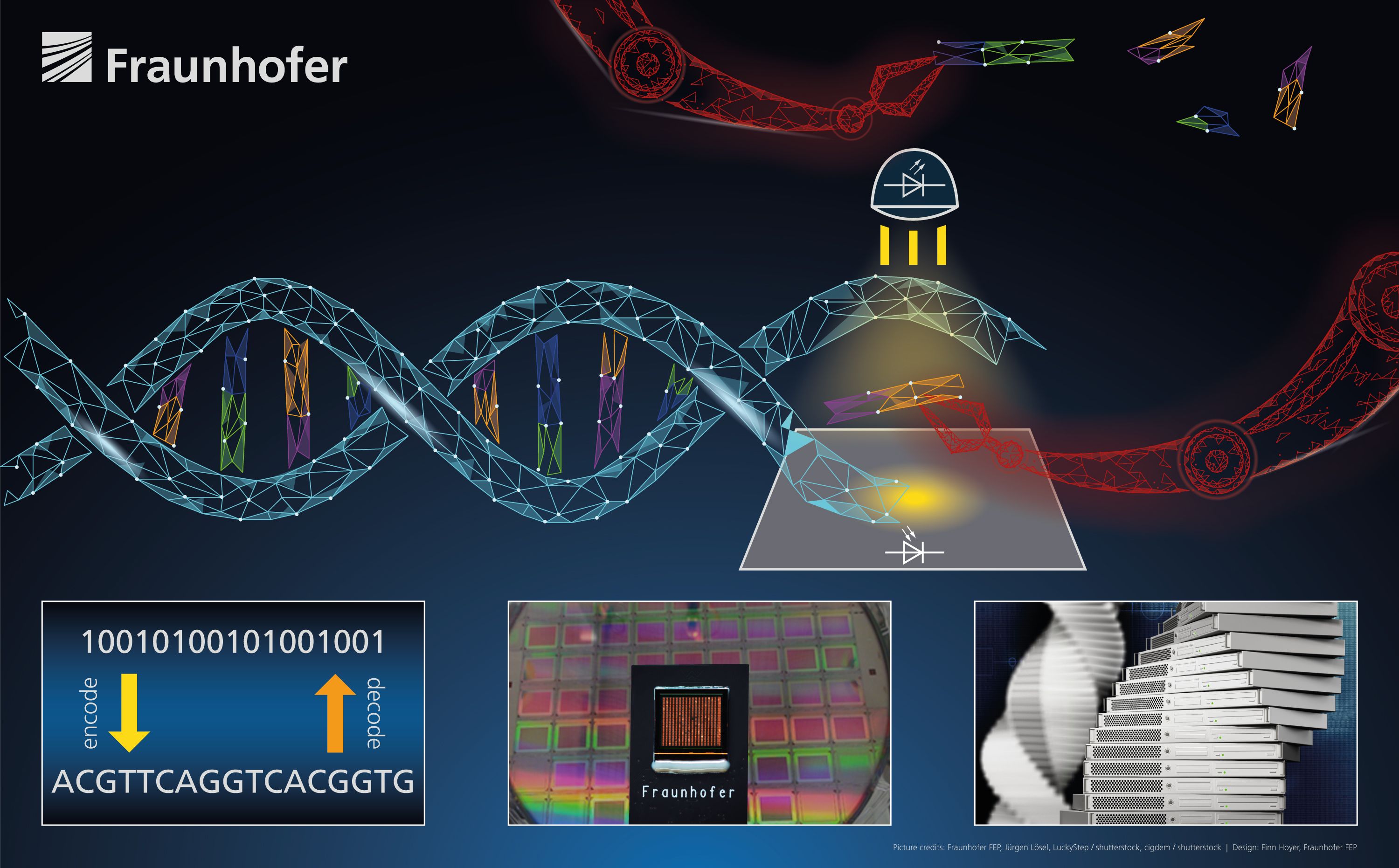 DNA as a storage medium for genetic information