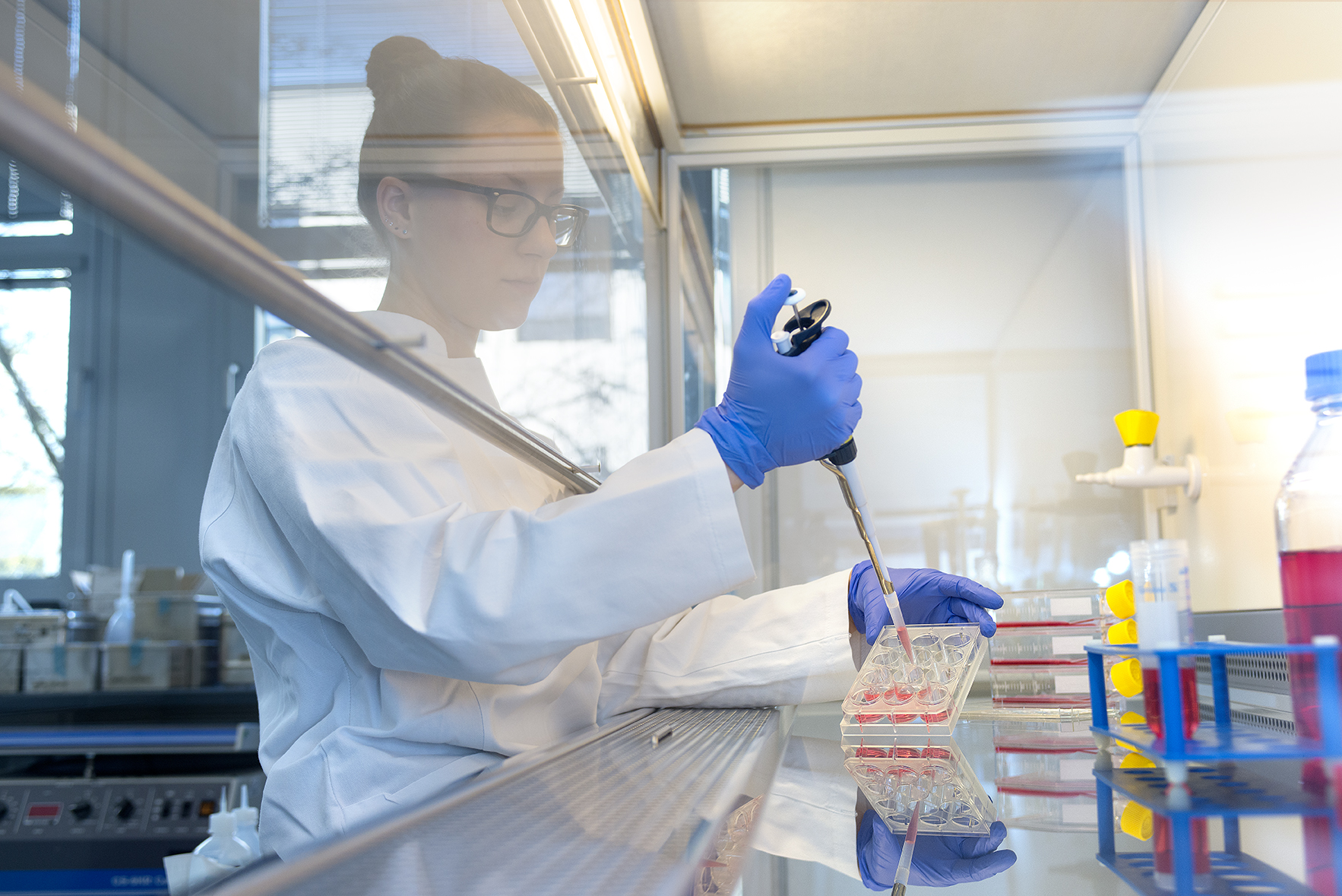 Laboratory technician pipettes at a sterile workbench.