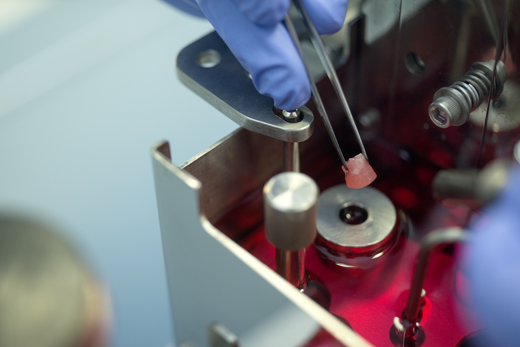 Device for tissue sectioning.