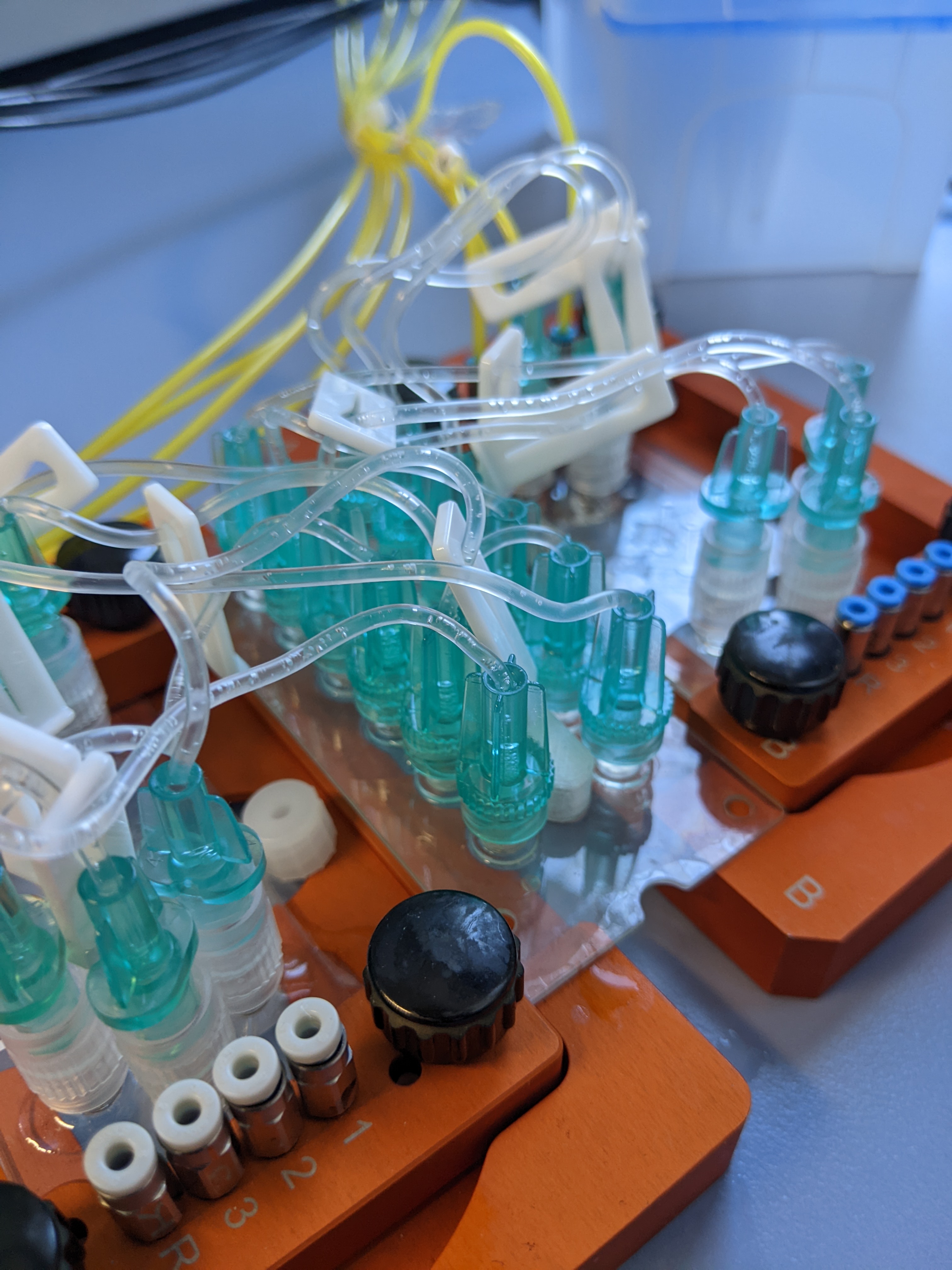 MyCellFight Automated immune chip.