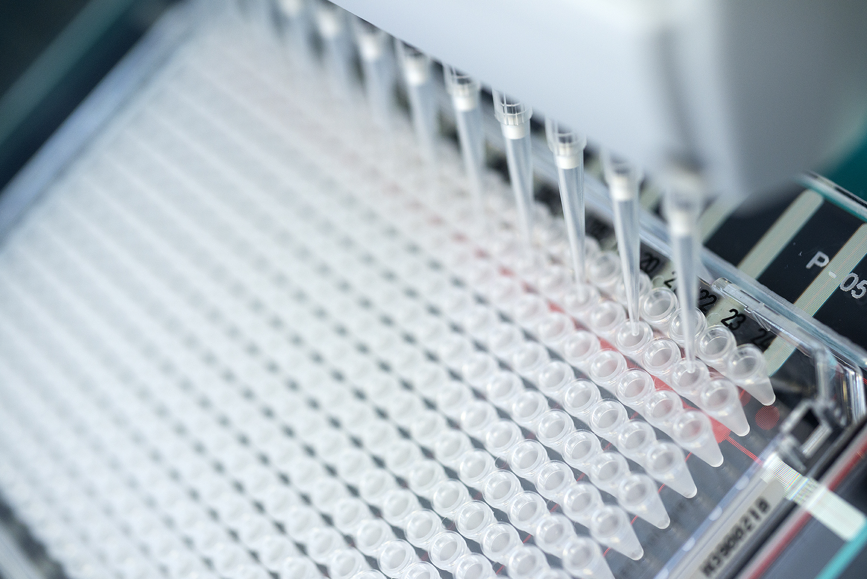 Automated pipetting into microtiter plate