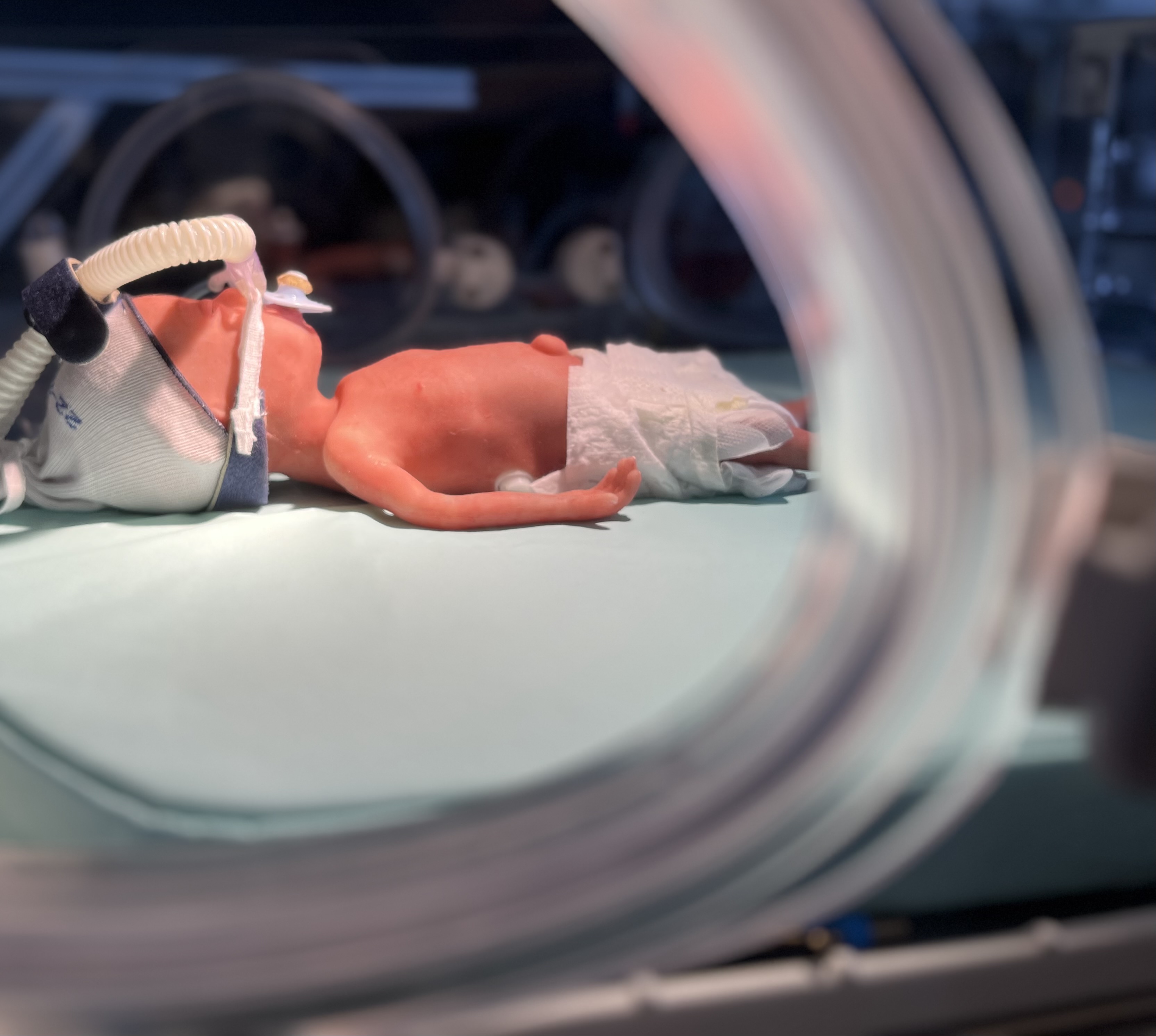 Dummy of a premature baby with a ventilation tube in an incubator.