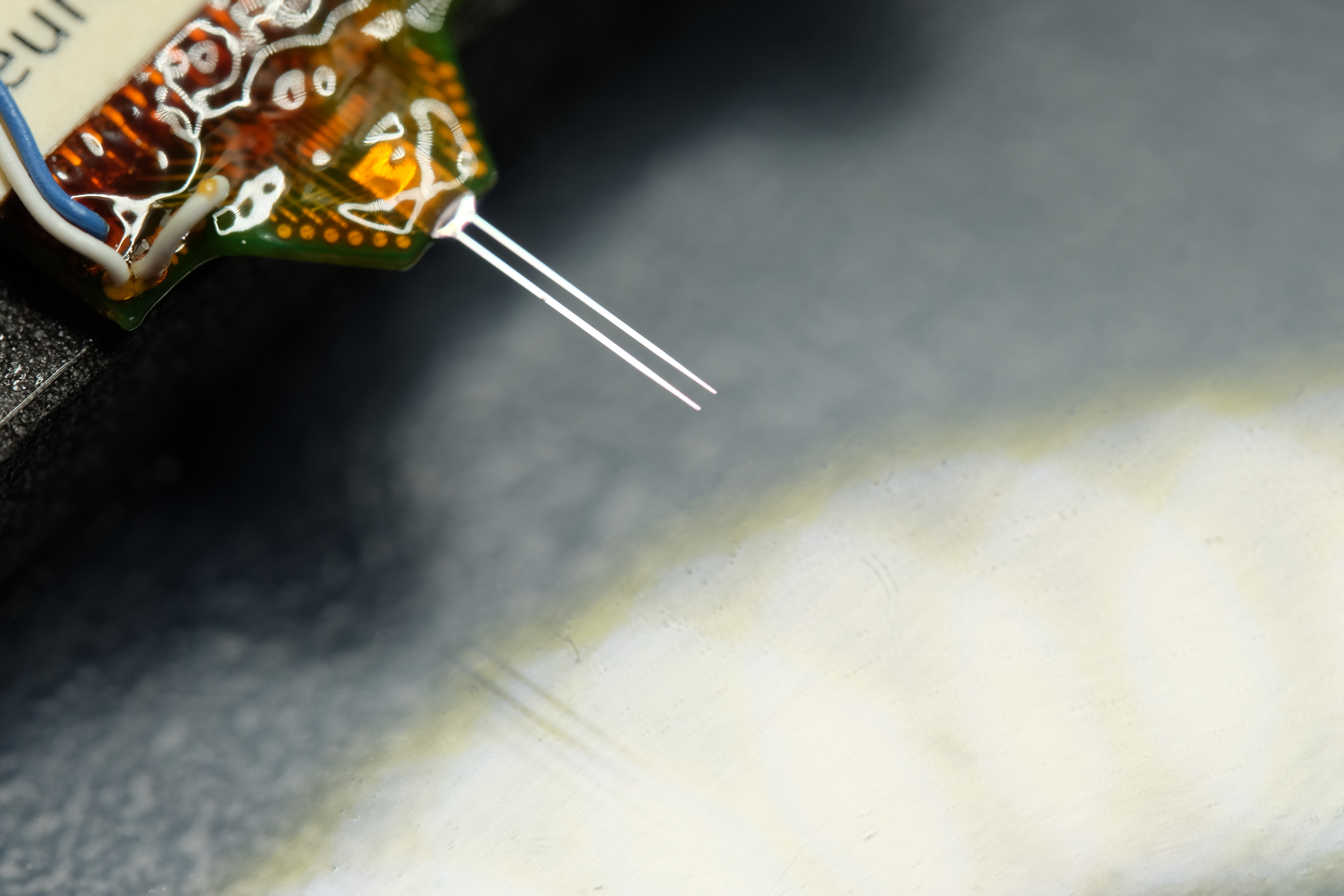 Close-up of a neuroimplant.