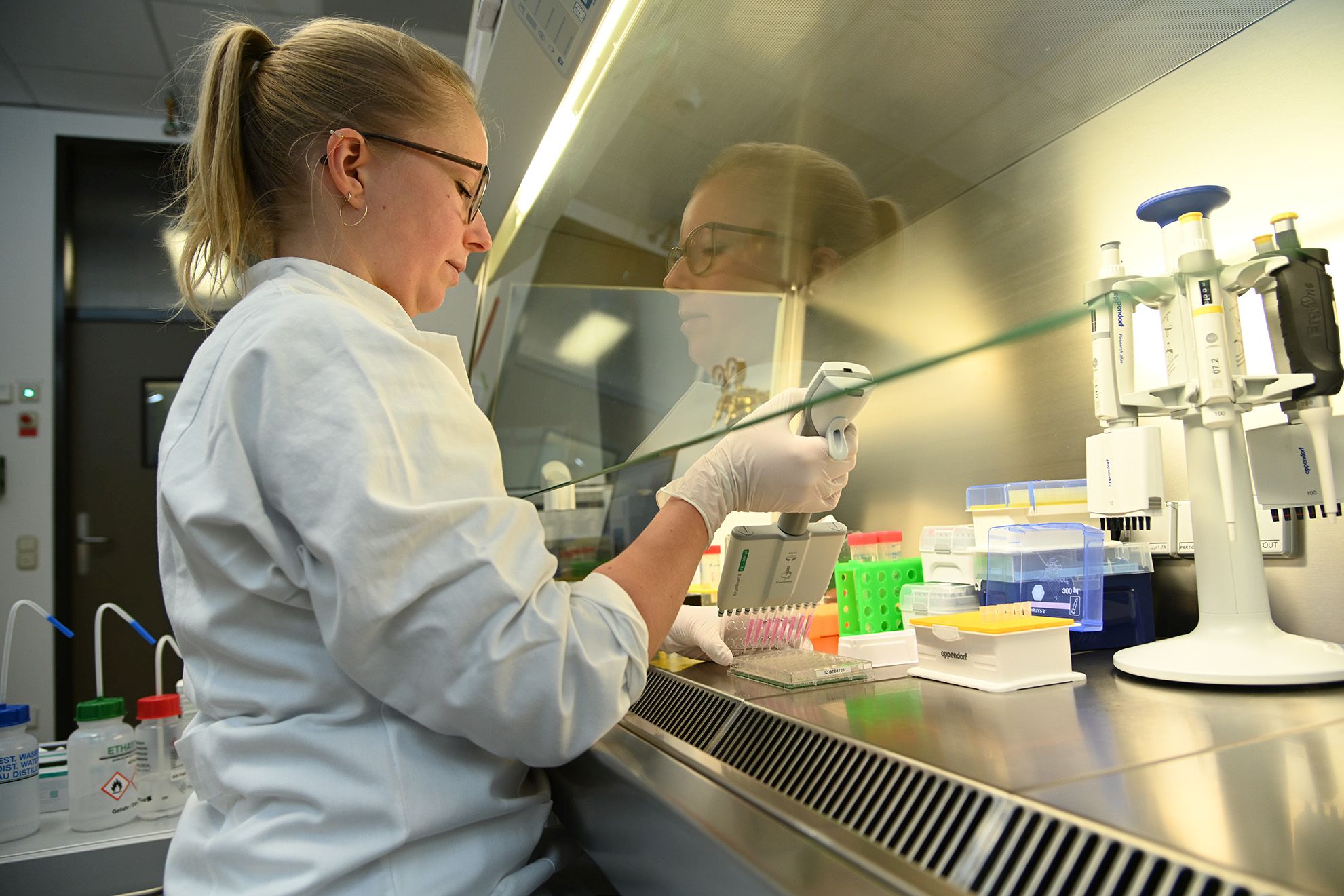 Female researcher working at a sterile workbench.