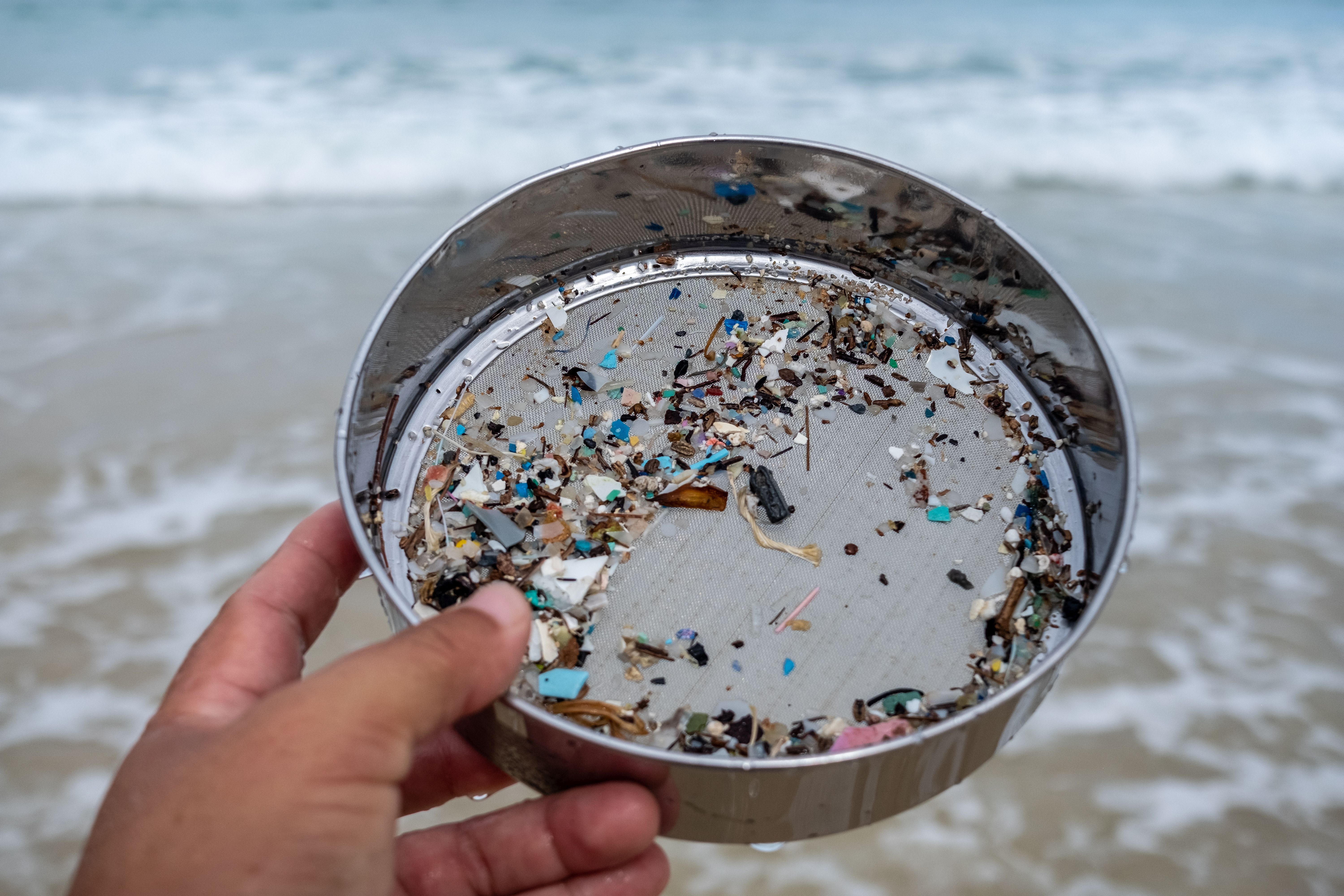 Microplastic sieved from the sea.
