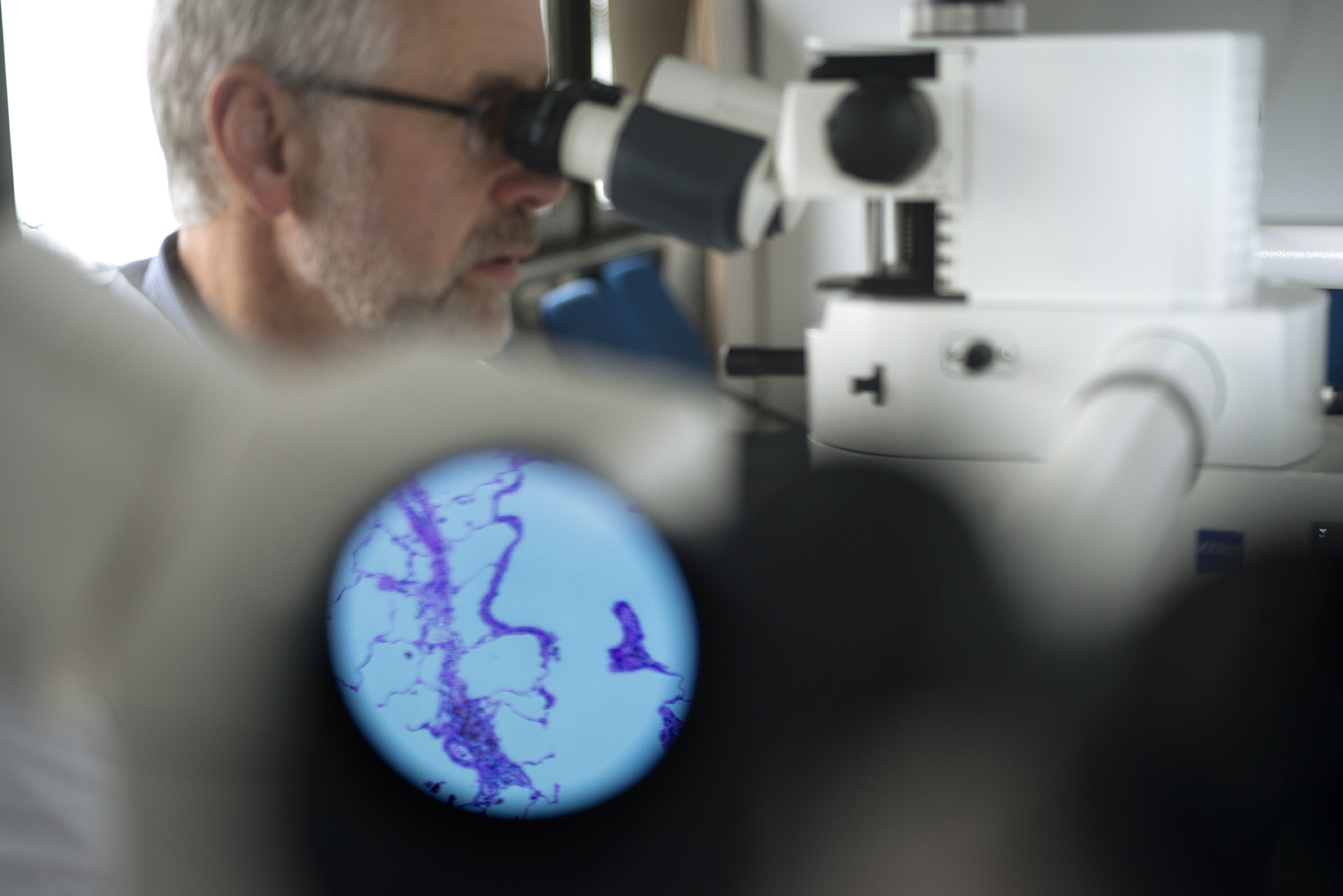 Scientist at a microscope, tissue section in the foreground.
