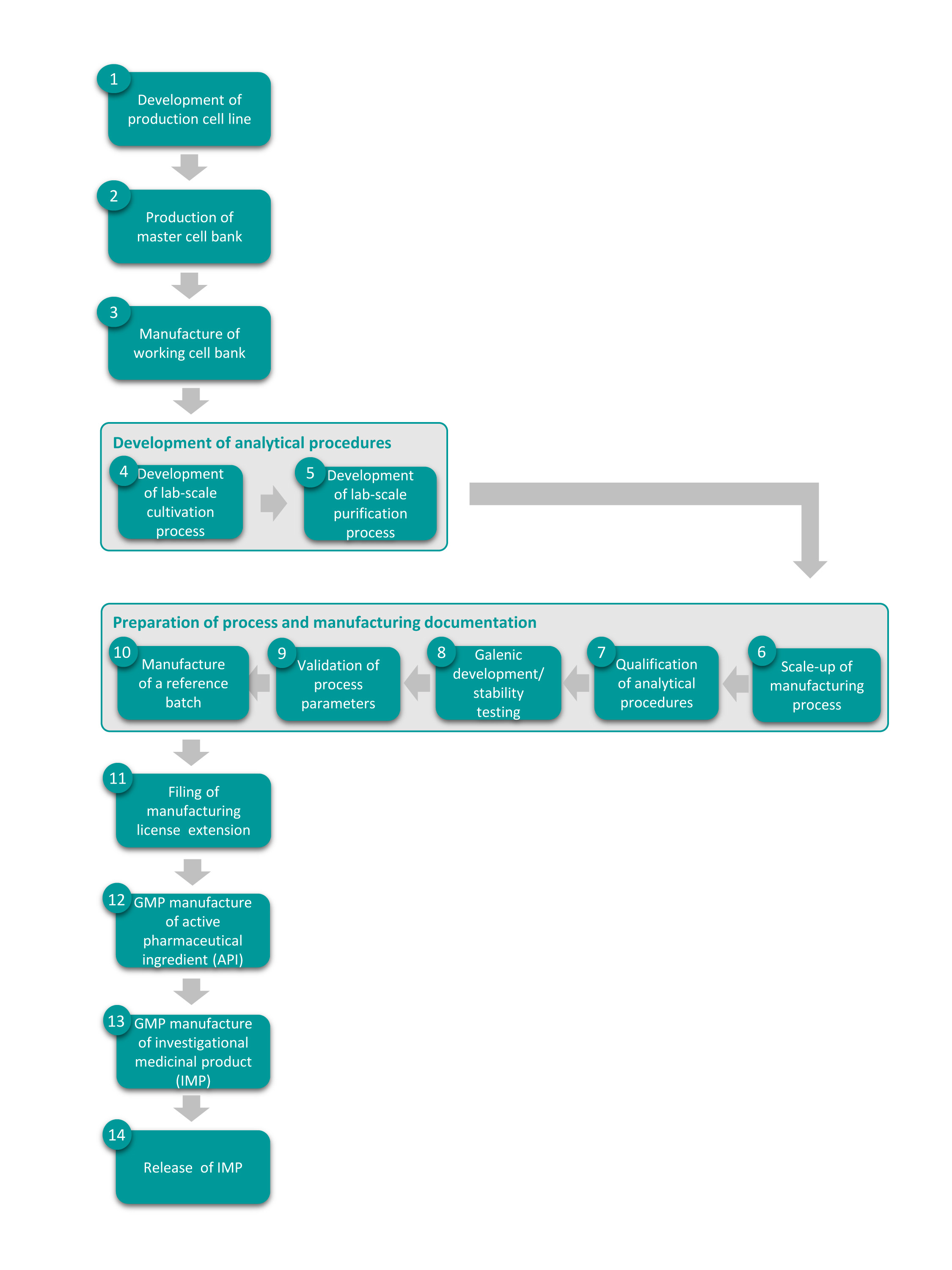 Roadmap GMP manufacturing of investigational biopharmaceuticals