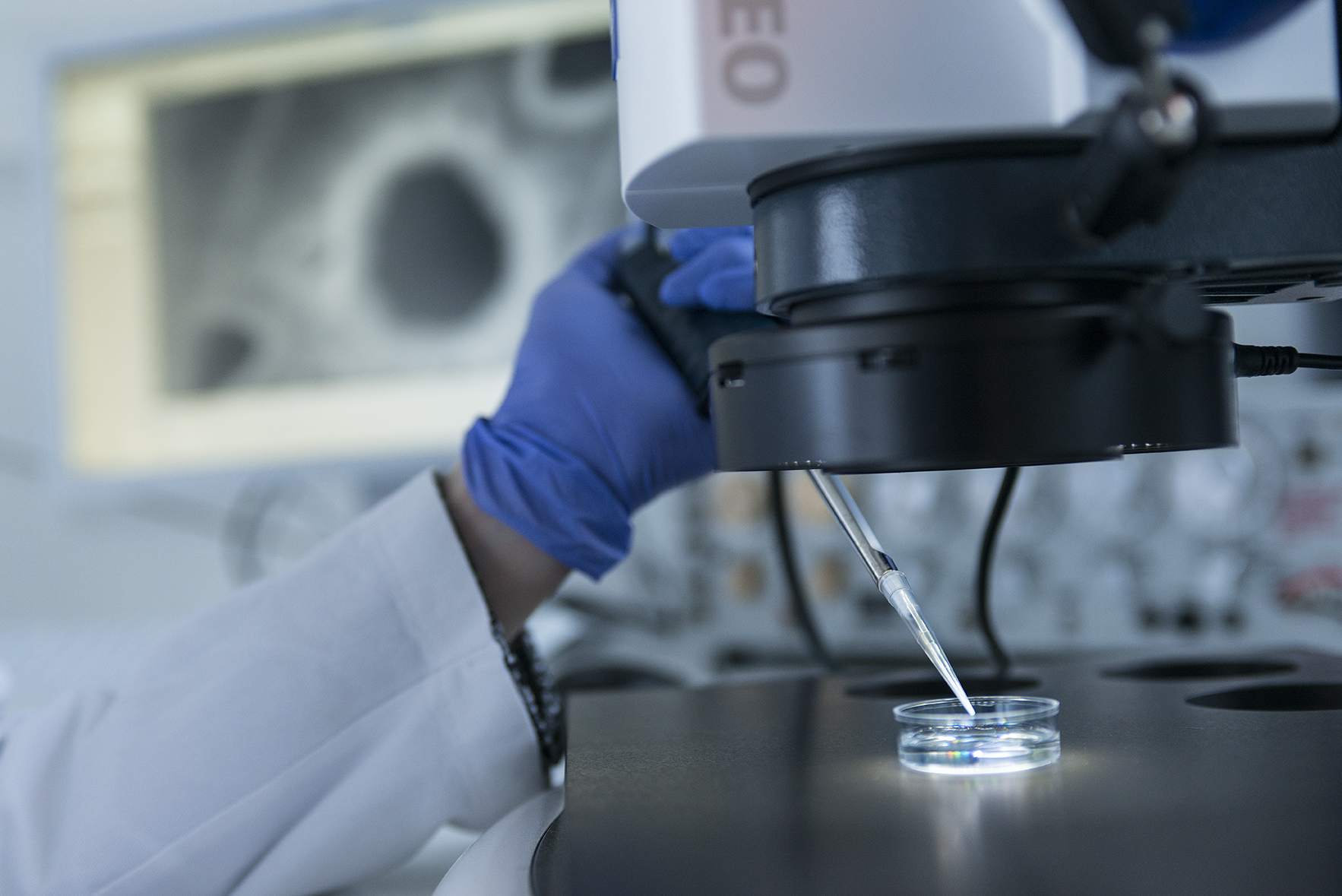 Developing drug candidates to the proof of concept