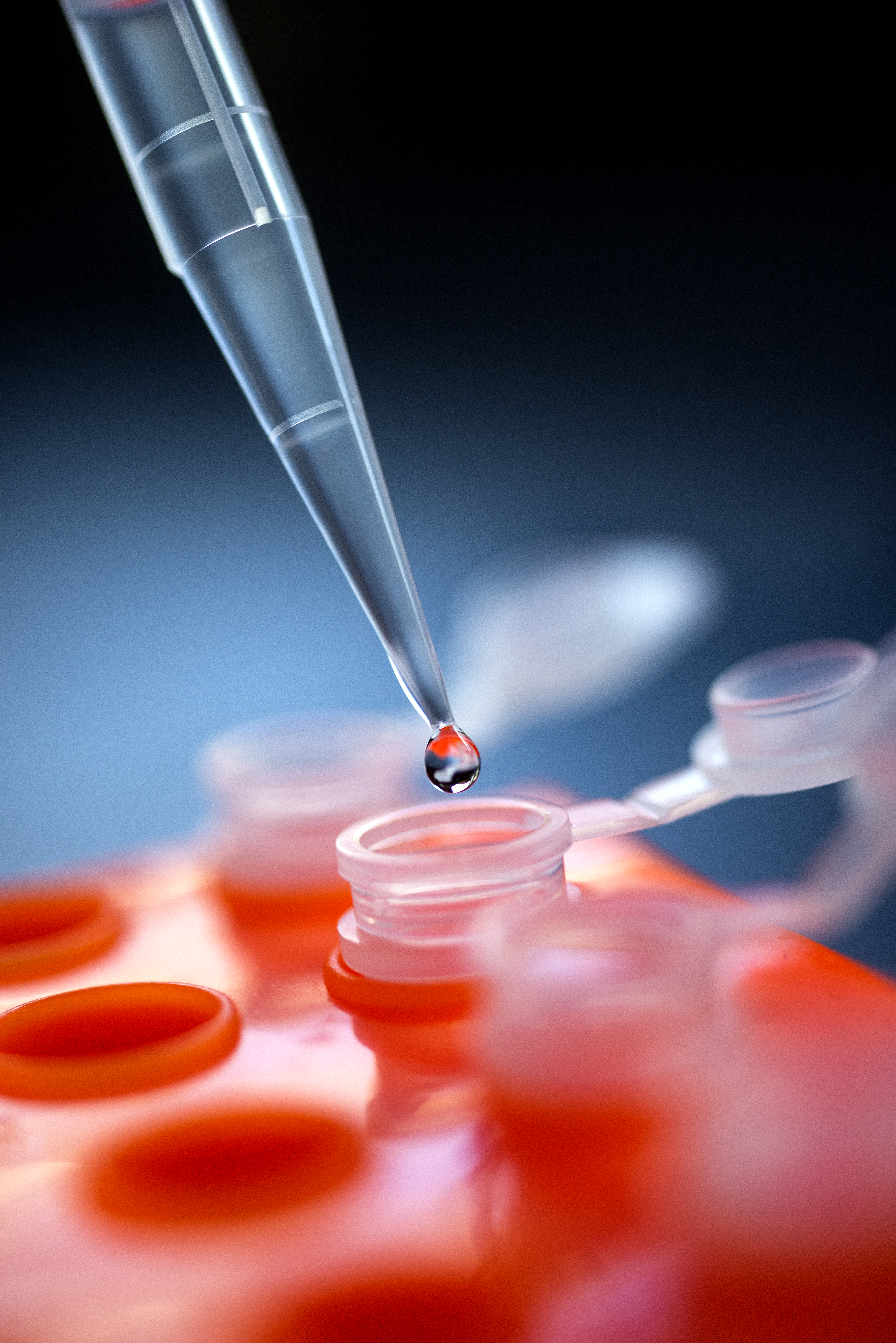 For risk assessment and registration, Fraunhofer ITEM offers toxicological, toxicokinetic, pharmacokinetic, and safety pharmacological studies.