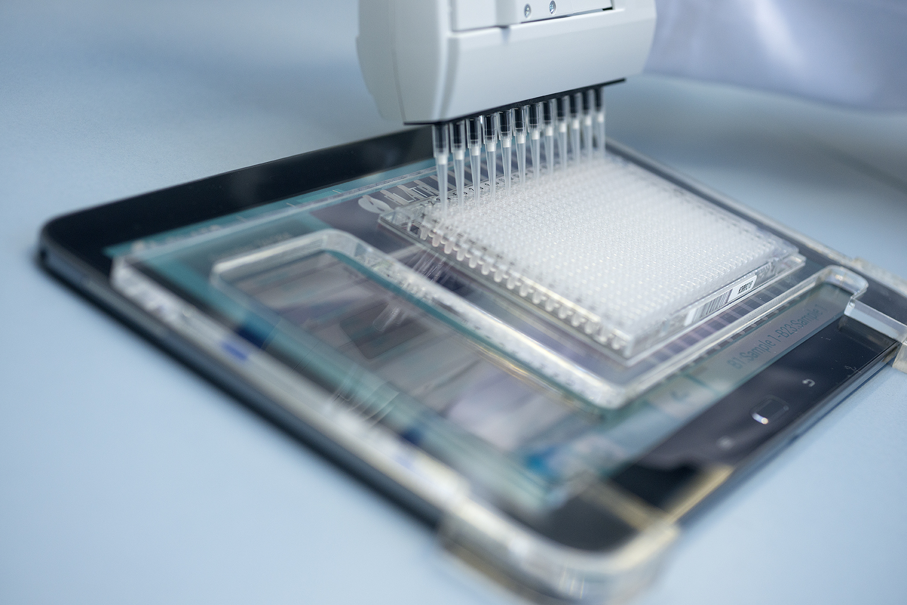 A special focus of toxicological testing at Fraunhofer ITEM is on inhalation toxicology studies.
